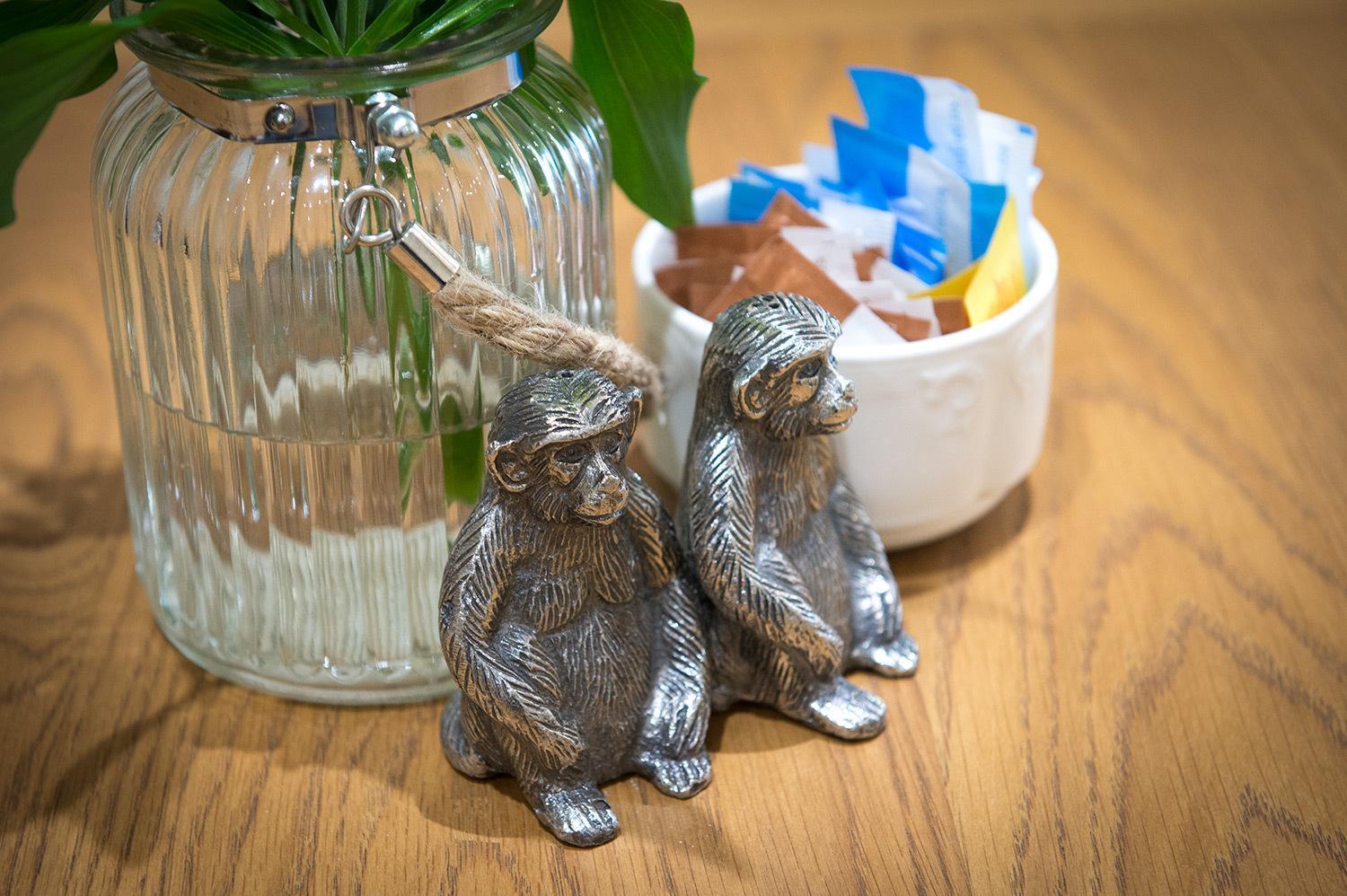 Bed and Breakfast Darwin'S Townhouse Shrewsbury Exteriér fotografie Silver monkey salt and pepper shakers
