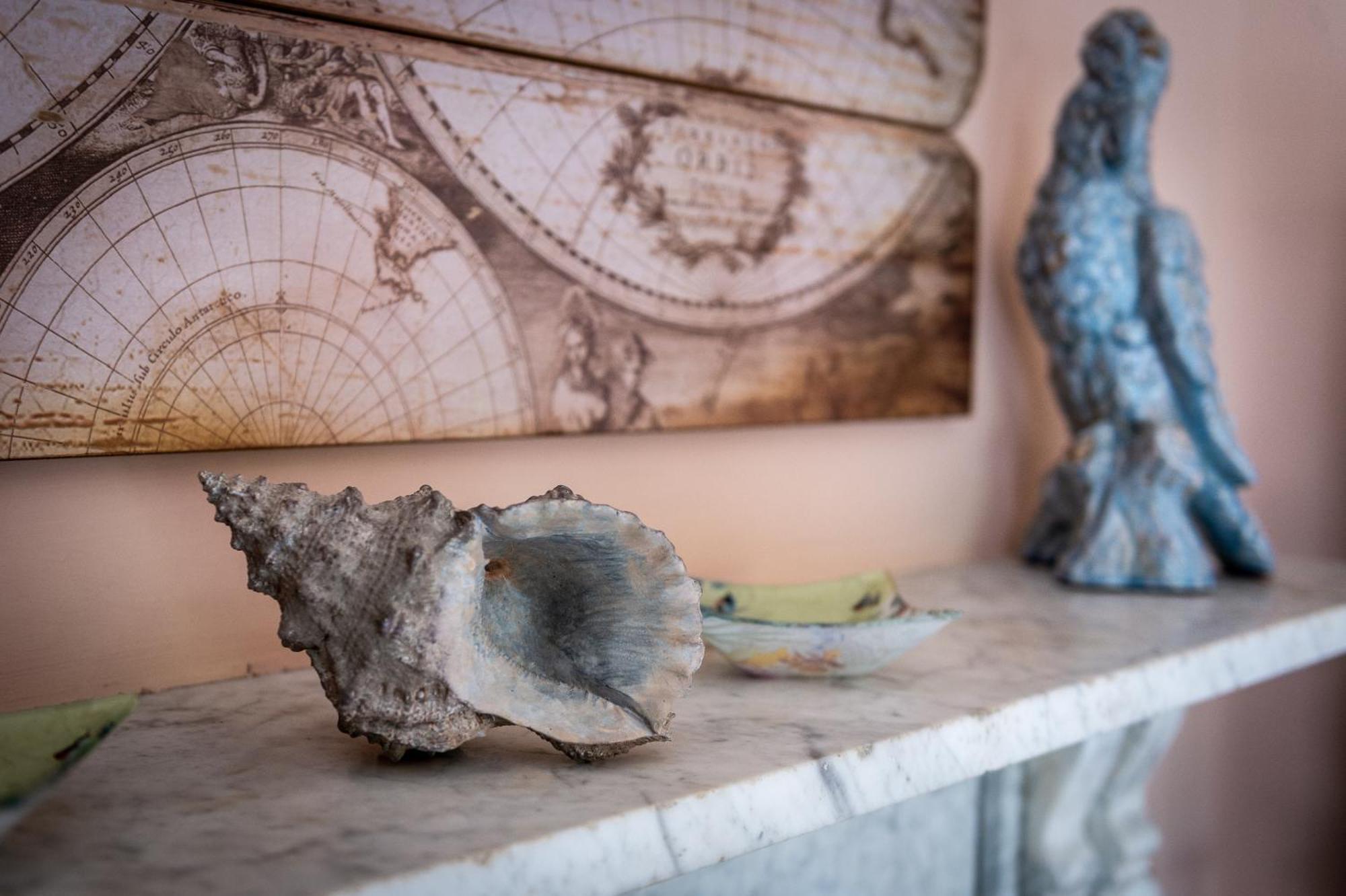 Bed and Breakfast Darwin'S Townhouse Shrewsbury Pokoj fotografie A conch shell